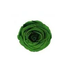 Deep Green