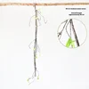 3#  Felce media da 90 cm
