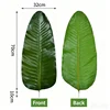 Travelers palm-dark-extra-large leaves