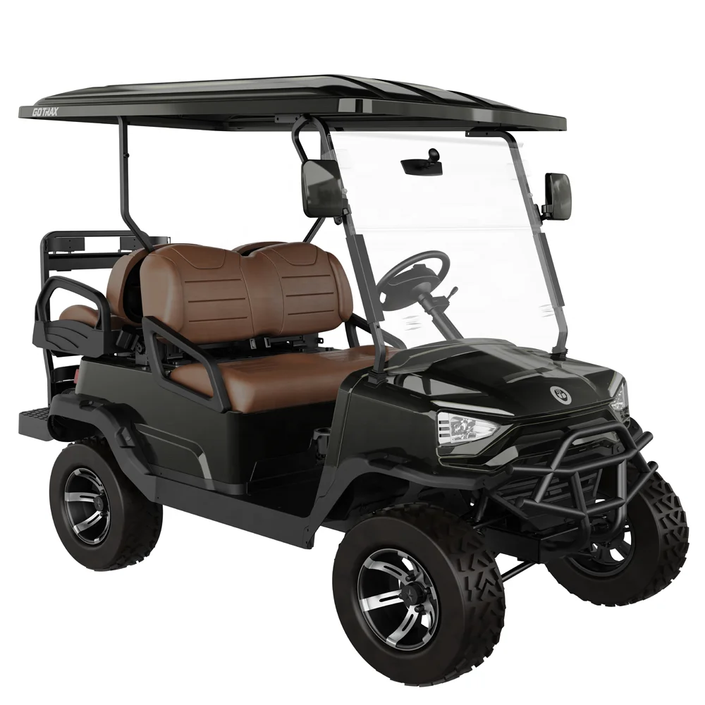 Tao Motor 2023 Golf Cart Electric Fun for Passengers