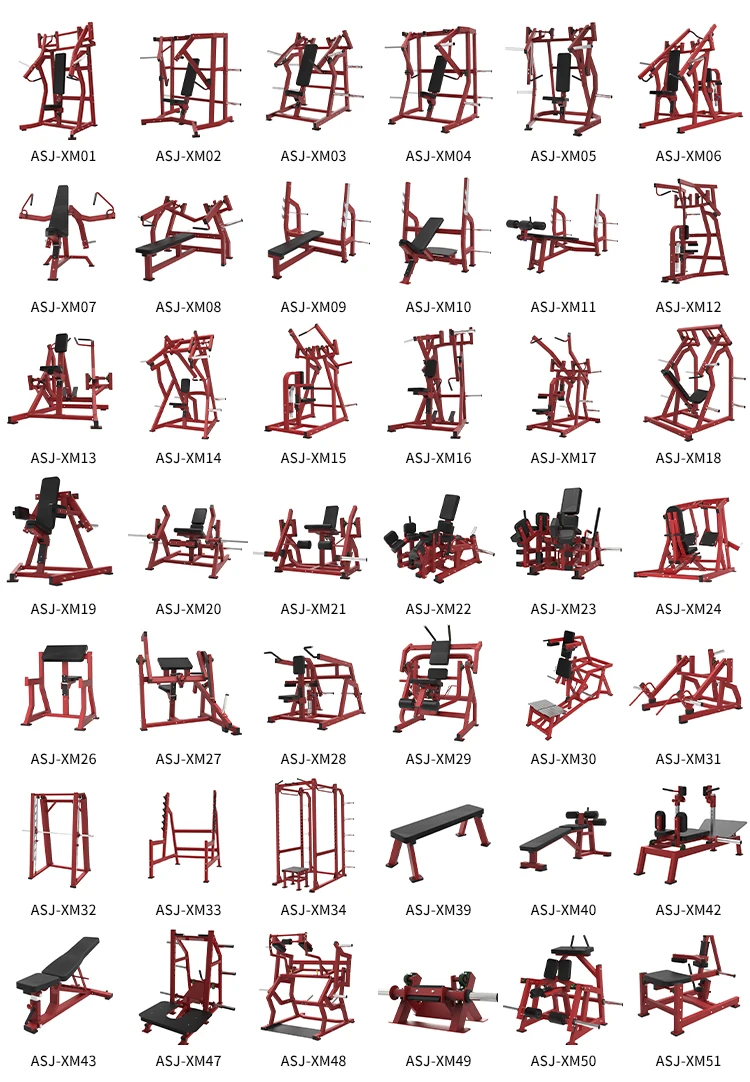 Dual Function Plate Loaded Iso Lateral Incline Seated Vertical Chest ...