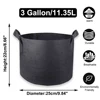 3 Gallon