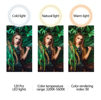 10 Inch LED Ring Light Dimmable Ringlight 3200K-5600K Photography Makeup Ring Light Lamp detail image