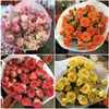 30 bulles aléatoires de couleur unie avec agent préservant la fraîcheur
