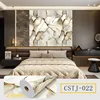 CSTJ022