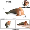 By-tpr soft rubber walrus