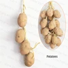 Patatas