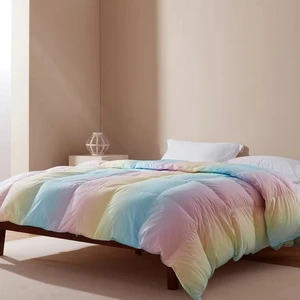 Soft Comfortable Duvet Comforter Luxury Bed Bedding Down Alternative Comforter Rainbow Duvet
