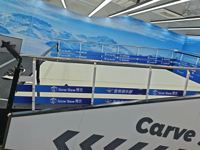 Factory Latest ASNH-XL-0611 Ski Machine Gym Equipment Fitness Ski Simulator Machine Indoor Ski Simulator Machine