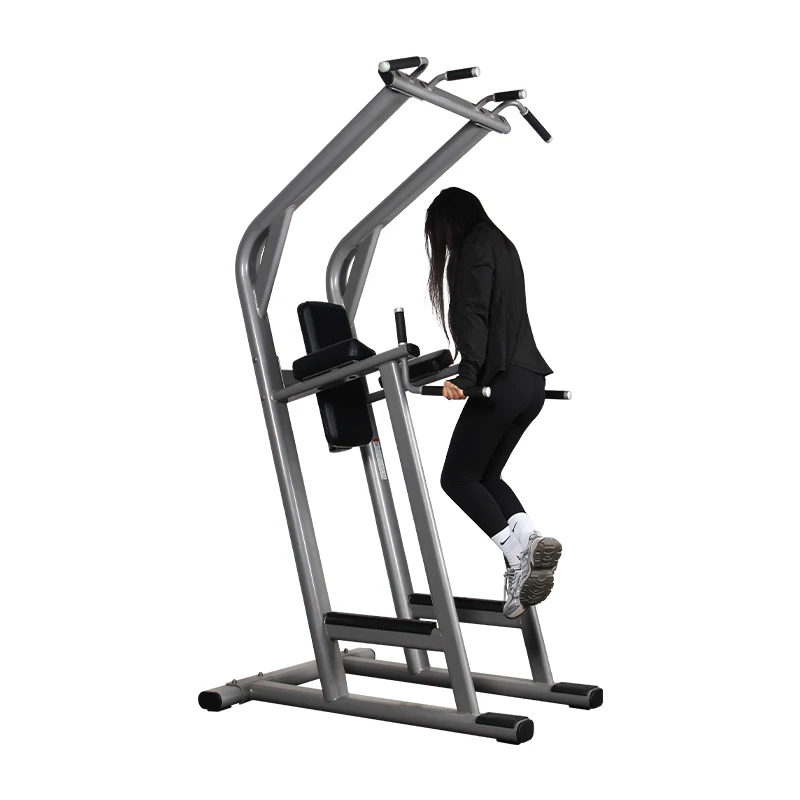 Factory Direct Commercial Gym Equipment Machine Bodybuilding Chin up Dip Station Vertical Knees Up/Dip Raise