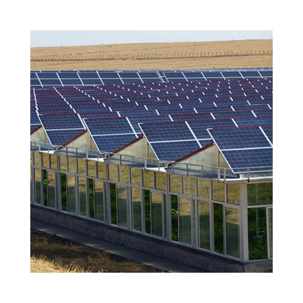 Smart Agricultural Multi-Span Venlo Glass Greenhouse Solar Photovoltaic Solar Greenhouse for Sale