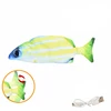 11. Poisson rayé vert