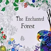 Foresta incantata