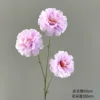 3-headed hibiscus