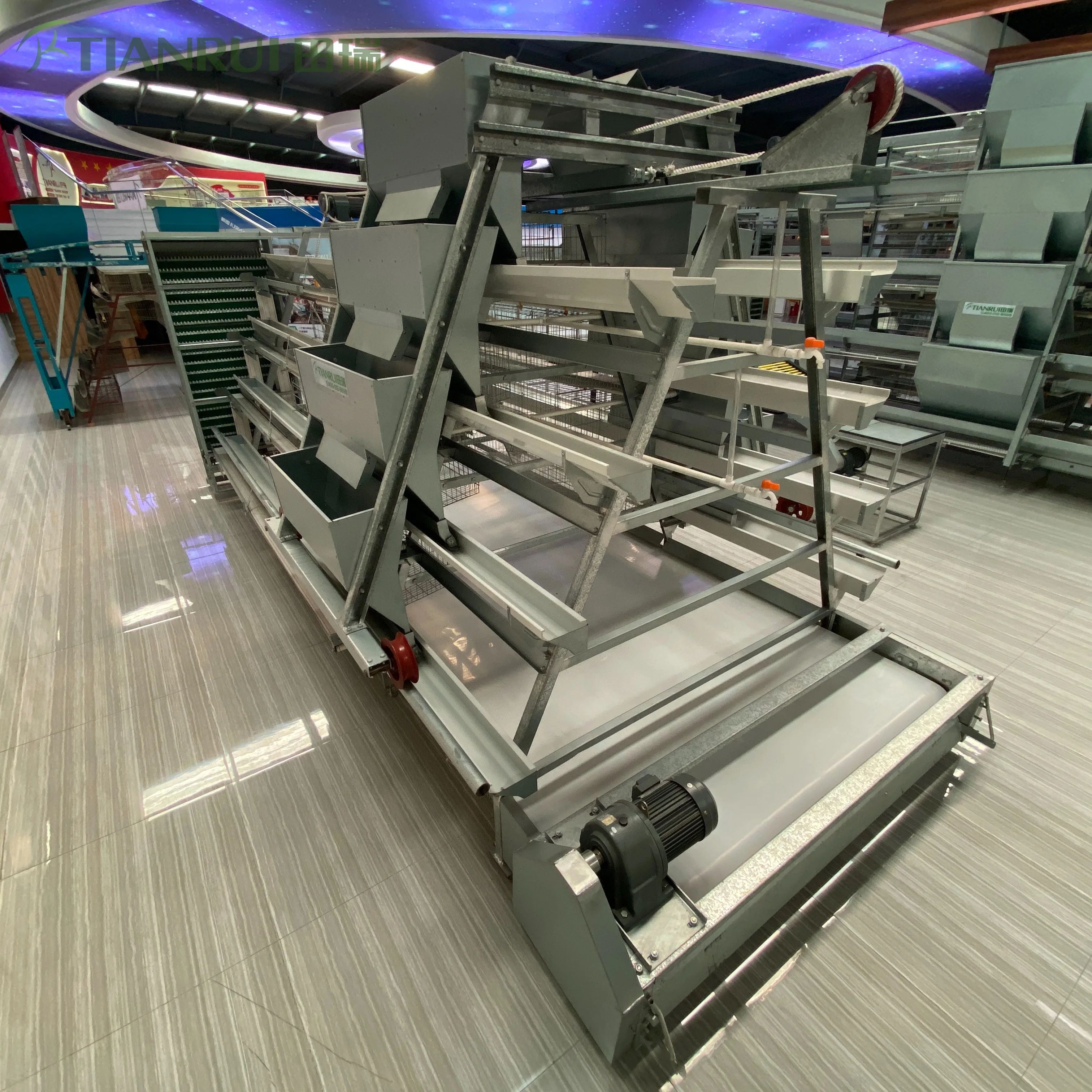 Machinery Layer Cages Systems of Chicken Cage House With Automatic Egg Collection