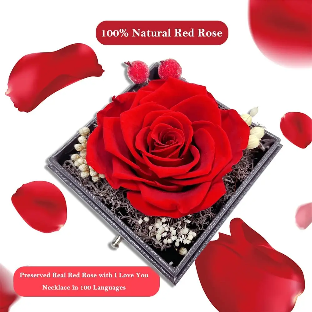 Dry Flower Rose Valentine's Day Gift Acrylic Single Rose Gift Box