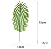 Areca palm-light color-large leaves