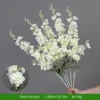 Delphinium ajacis/bianco
