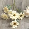 6 cuckoo peony champagne