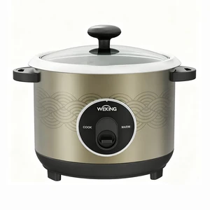 New Design Custom Color Paint Flower Rice Cooker Chinese Brands Appliances Food Steamer Household Appliances Home