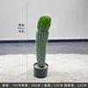 Cactus mexicano - 70CM (viene con base negra)