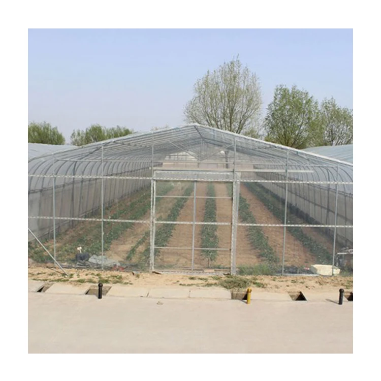 China Factory Freestanding Poly Tunnel Plastic Hydroponic Growing Systems Greenhouse