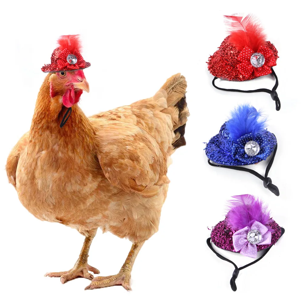 3 Pieces Chicken Hats For Hen Mini Hat Helmet Accessories Feather Top ...