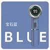One blue 5-brush head version