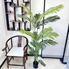 Palma de Areca de 6 pies