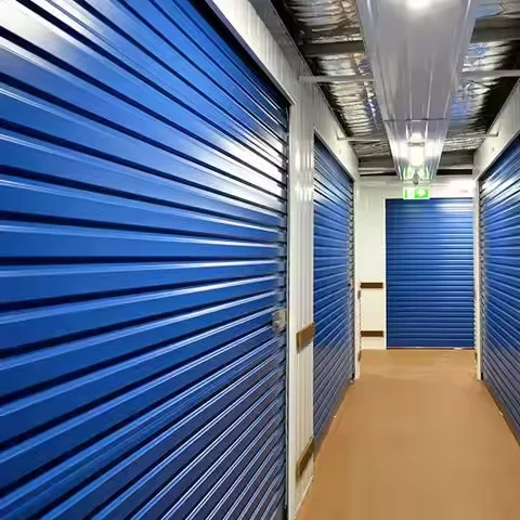 Factory Direct Customized Modern Design Steel Self Storage & Rolling Units Roll up Doors for Warehouses for Modern Sheds