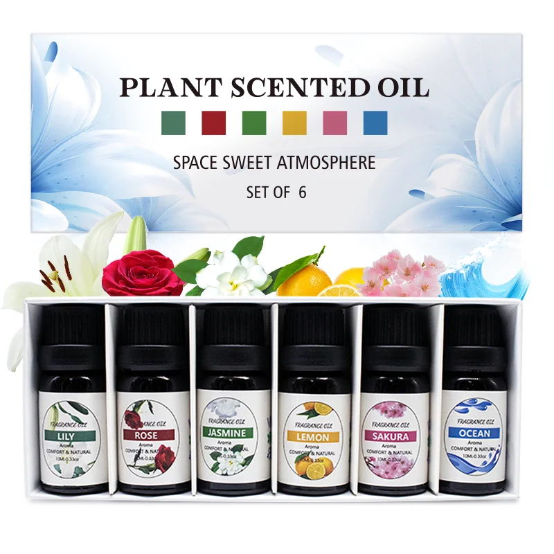 The Study Set of 6 Fragrance Oils 10ml