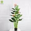 Plante à fleurs paradisiaque de 140 cm