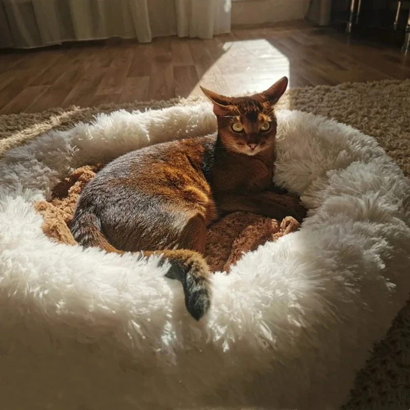 Pet cushion plush soft donut dog bed accessories washable calming sofa camas para perros large custom luxury cat dog pet bed