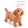 Cocker Spaniel