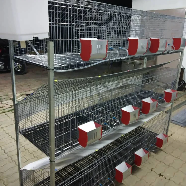 Large Rabbits Commercial Rabbit Cage System Rabbit Cage For Sale Buy