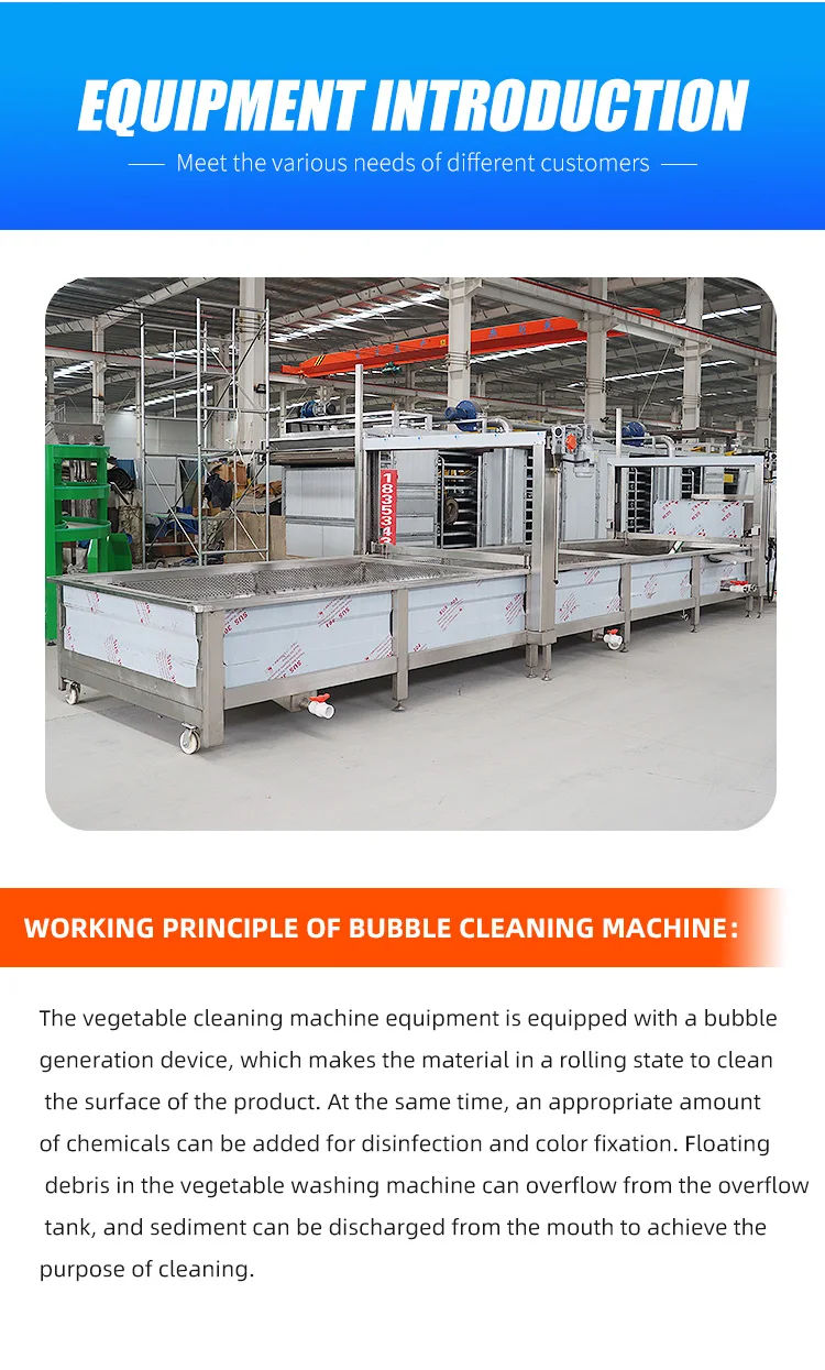 Fresh Fruit Mango Apple Avocado Cleaning Machine Air Bubble Vegetable Washing Machine