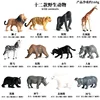 Colorido KZ Wildlife 12 Tipos [aproximadamente