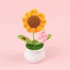 Piccola mini coccinella in vaso rosa sole
