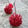 2 boules de neige rouges