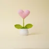 Planta en maceta con corazón rosa