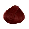 1 scatola di vino rosso