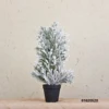 Bianco50 cm