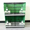 Paquete de 2 unidades verdes con placas traseras.
