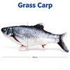 Carpa herbívora