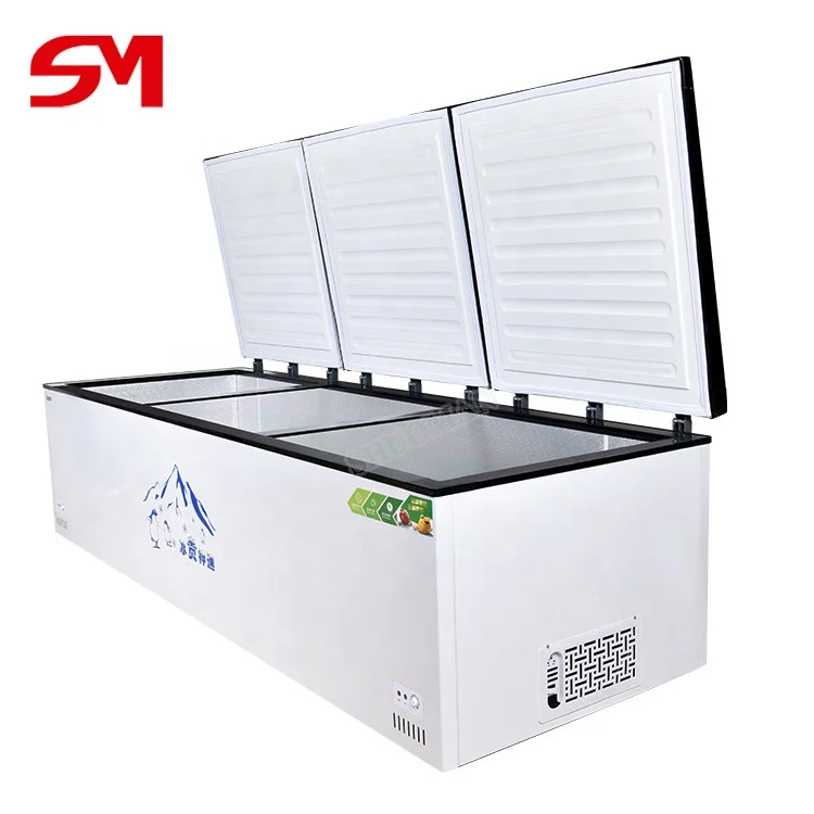 Automatic Modern and Advanced Shops Meat Storage Refrigerator Freezer
