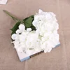 Blanc1