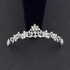 Plata