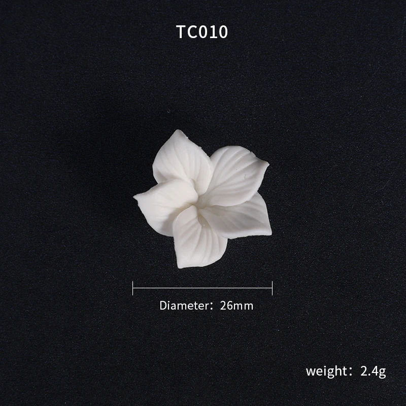 TC010.JPG