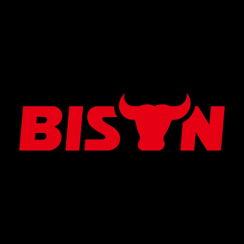 Company Overview - Taizhou Bison Network Technology Co., Ltd.