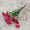 Rose red